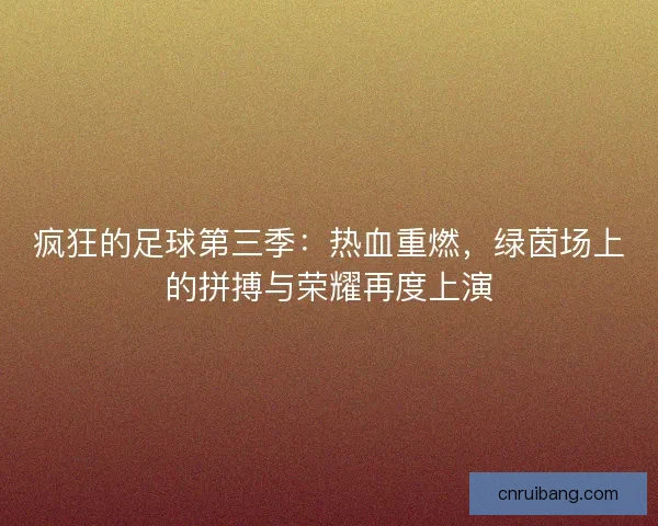 疯狂的足球第三季：热血重燃，绿茵场上的拼搏与荣耀再度上演