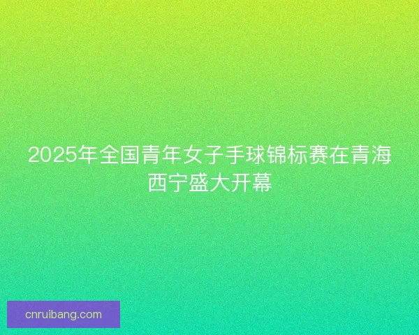 2025年全国青年女子手球锦标赛在青海西宁盛大开幕 2025年全国青年女子手球锦标赛在青海西宁盛大开幕