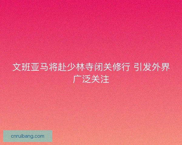 文班亚马将赴少林寺闭关修行 引发外界广泛关注